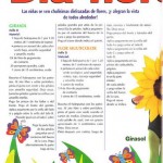 82 150x150 Revista Tedi, aprender a hacer disfraces