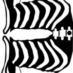 esqueleto-halloween-2