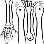 esqueleto-halloween-3