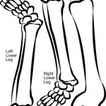 esqueleto-halloween-4