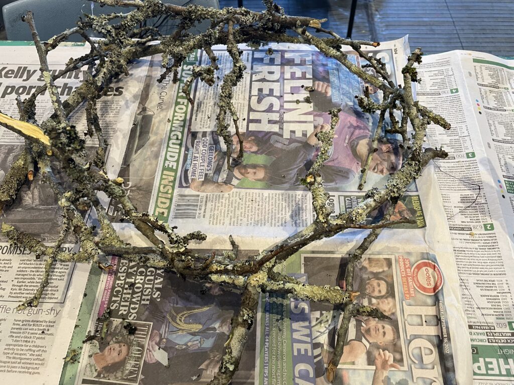 ramas en forma de corona