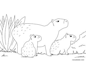 dibujo libre CAPIBARA