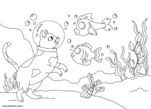 dibujo libre GATO BAJO EL AGUA