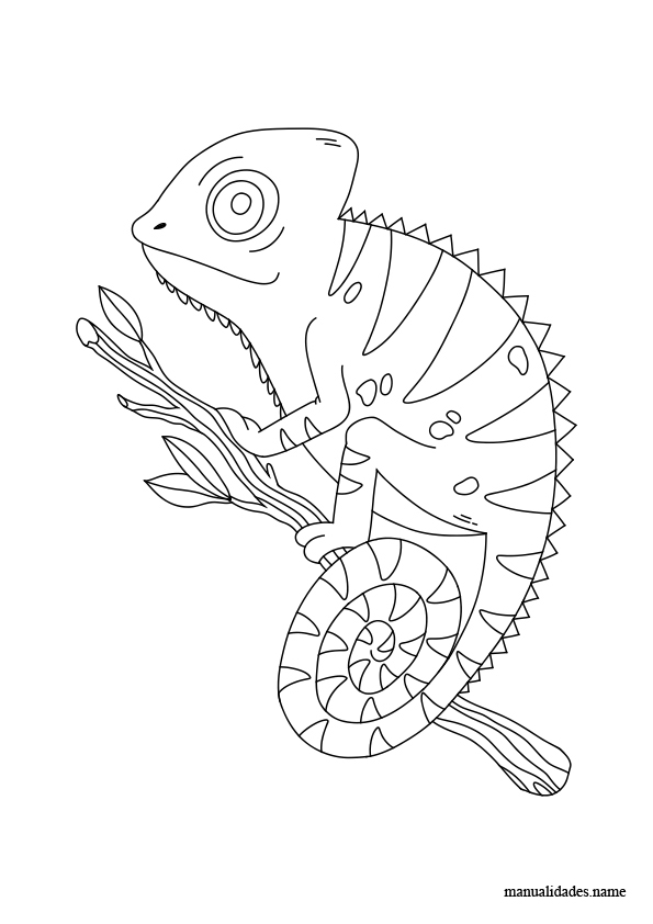 dibujo camaleon gratis