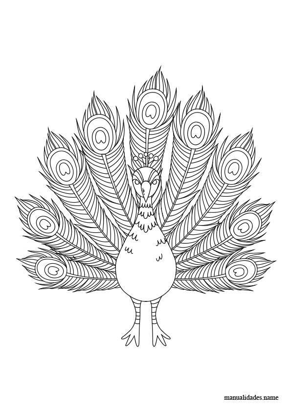 dibujo libre de pavo real