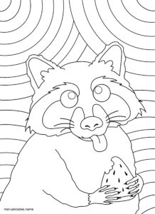 mapache dibujo libre